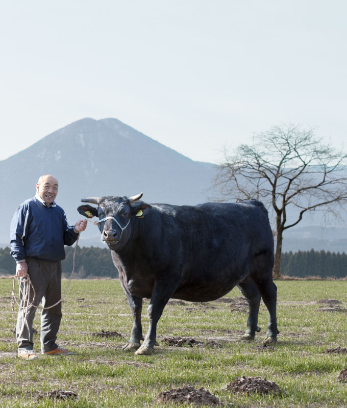 Ensures the cattle’s tenderness.